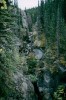 Thumbs/tn_051Domville Creek.jpg